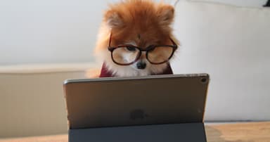 Panasonic Cordless Phone with Advanced Call Block